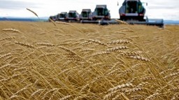  Гаспадаркі Гродзенскай вобласці завяршаюць падрыхтоўку да ўборачнай кампаніі 